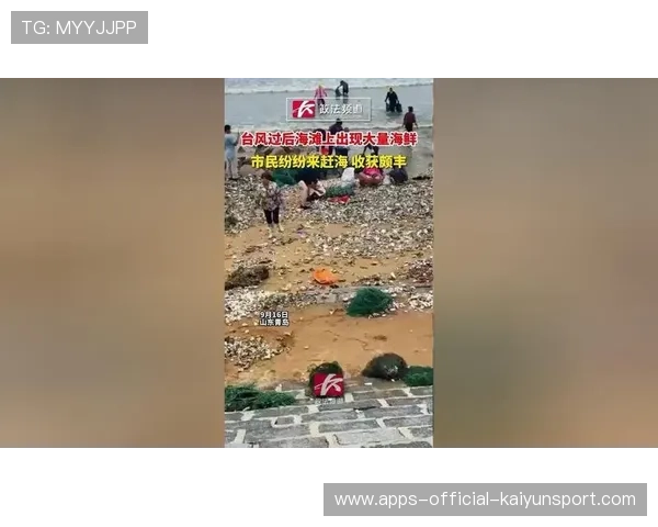 台风后赶海活动频繁，惠州加强安全提示，台风过后赶海视频